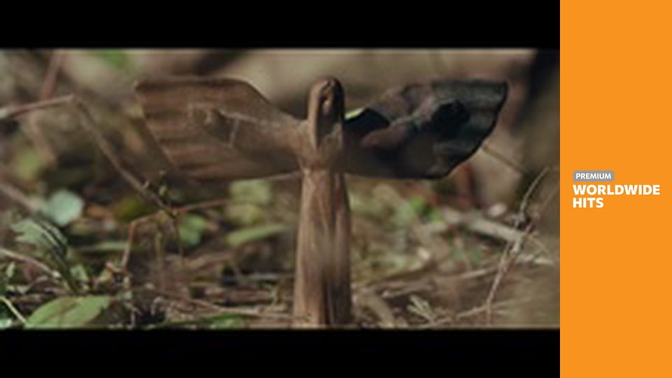 Sniper: The White Raven