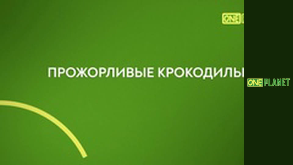 Спільноти тварин, 6 еп.