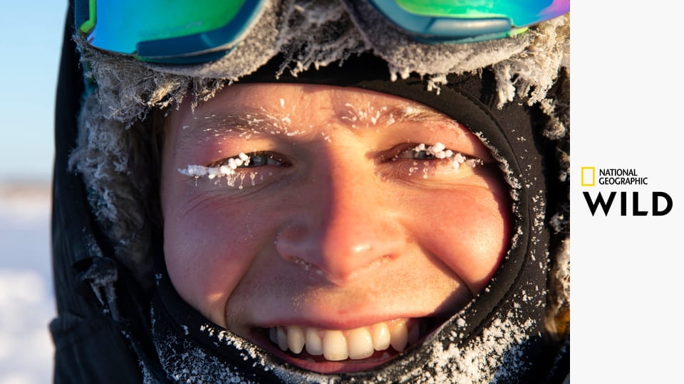 Дикая жизнь: Большой мороз - Дикая жизнь: Большой мороз