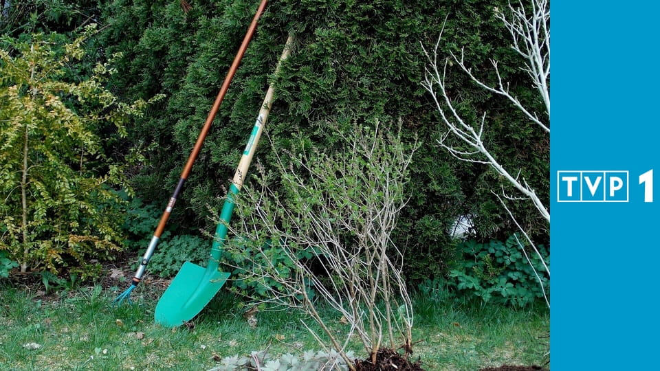 Rok w ogrodzie extra E415