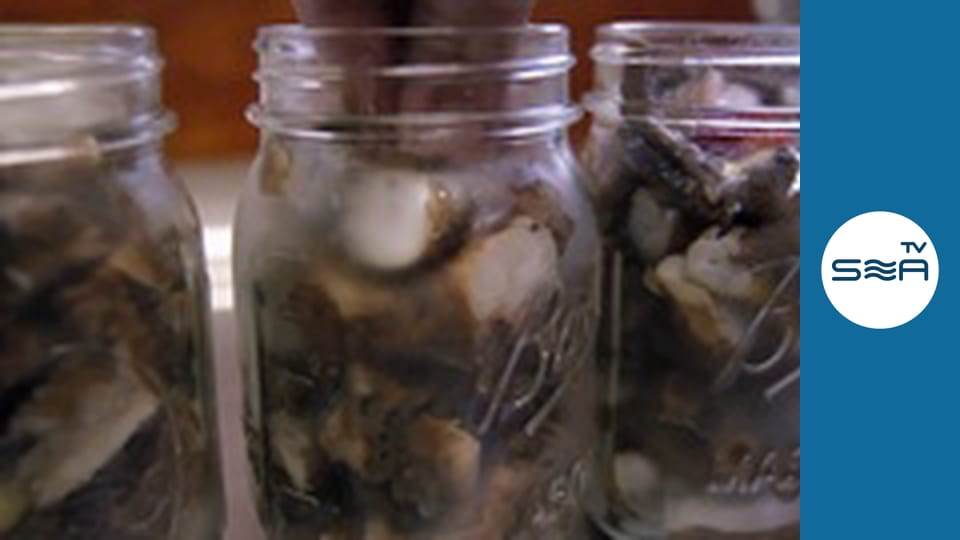 Gourmet Farmer Afloat - Issue 2