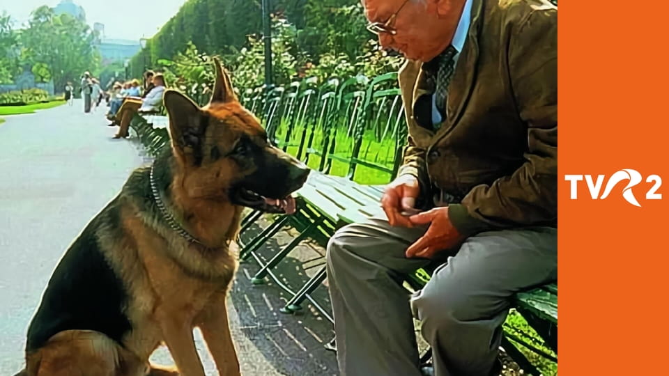 Comisarul Rex: aventuri la Viena E12