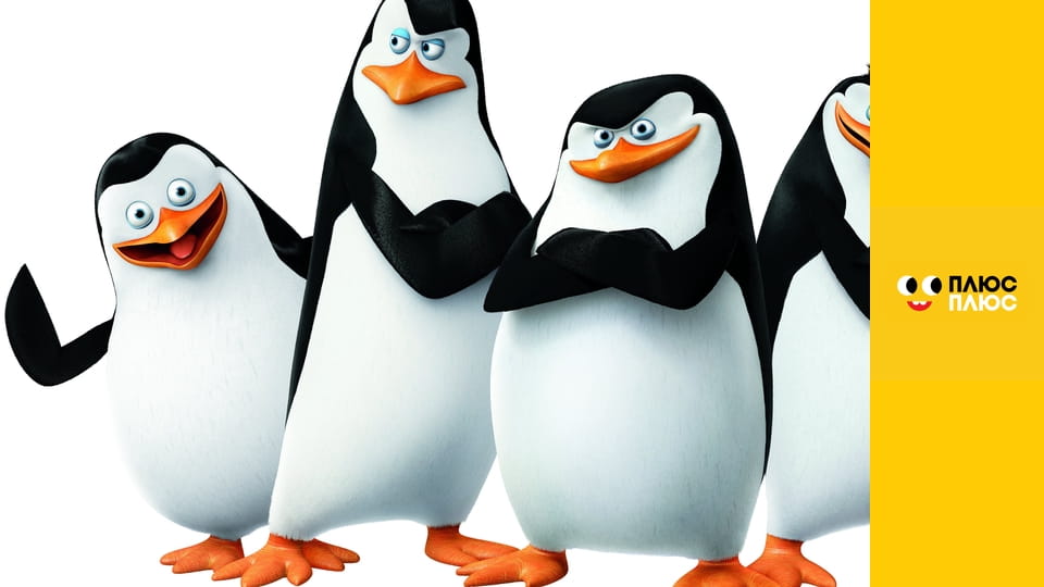 Пінгвіни Мадагаскару