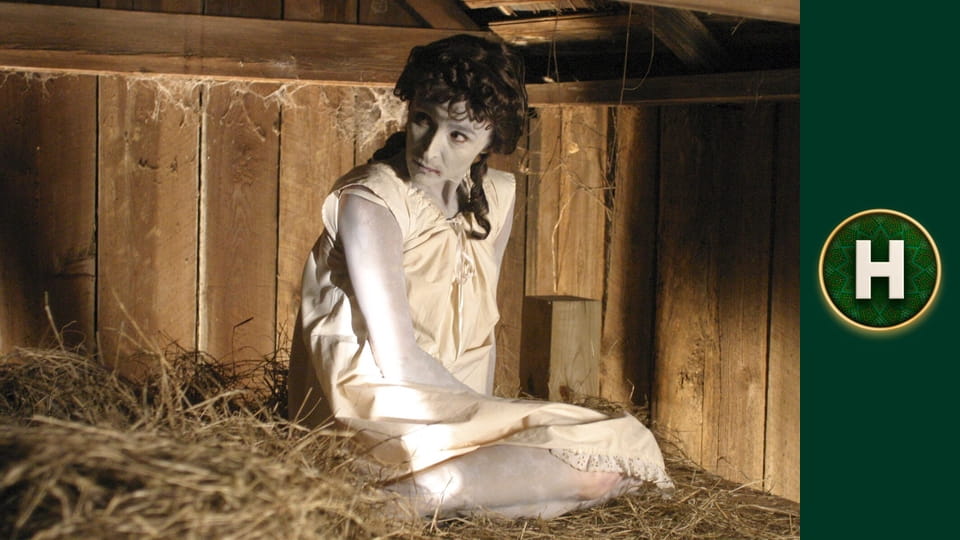 Мертві пташки