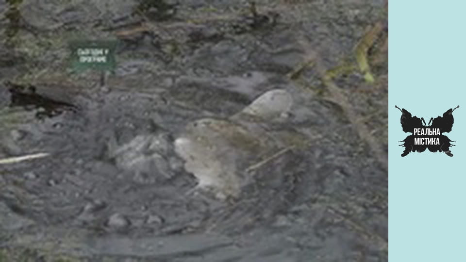 Сезон 8 Епізод 18