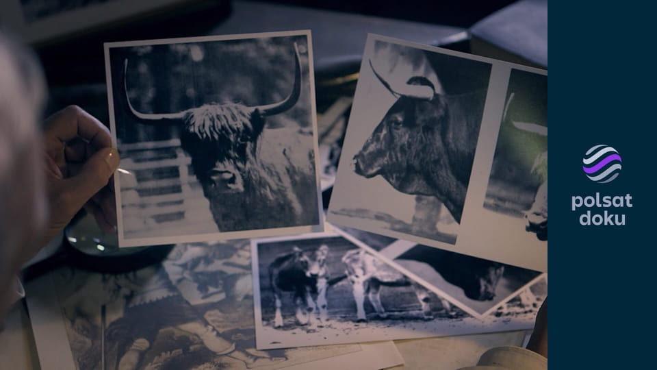 Park jurajski Hitlera