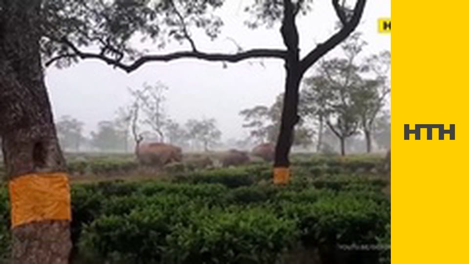 Т/с "Елементарно", 2 сезон, 11 і 12 с.