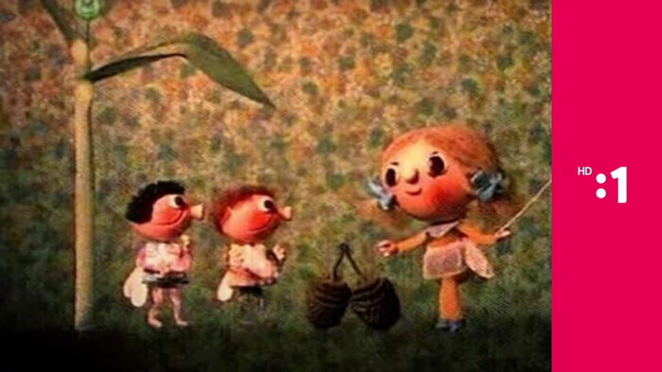 Meduška E12 - Meduška pri povodni