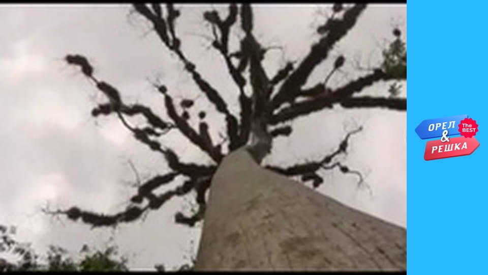 Golden Card, Issue 116