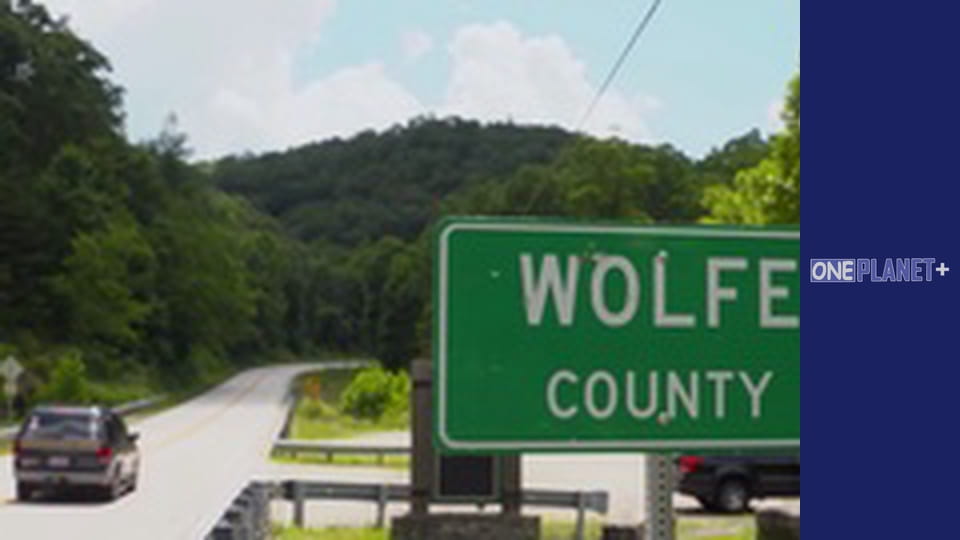 Ваш фантастический ум, Сезон 1, Выпуск 9