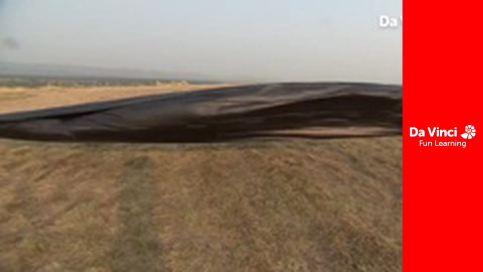 Дослідження: «Наука вдома» - Наука на задньому подвір'ї