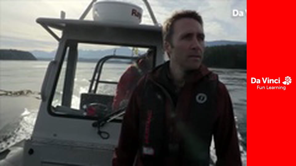 Исследование: «Удивительная планета» - Высшие хищники океана