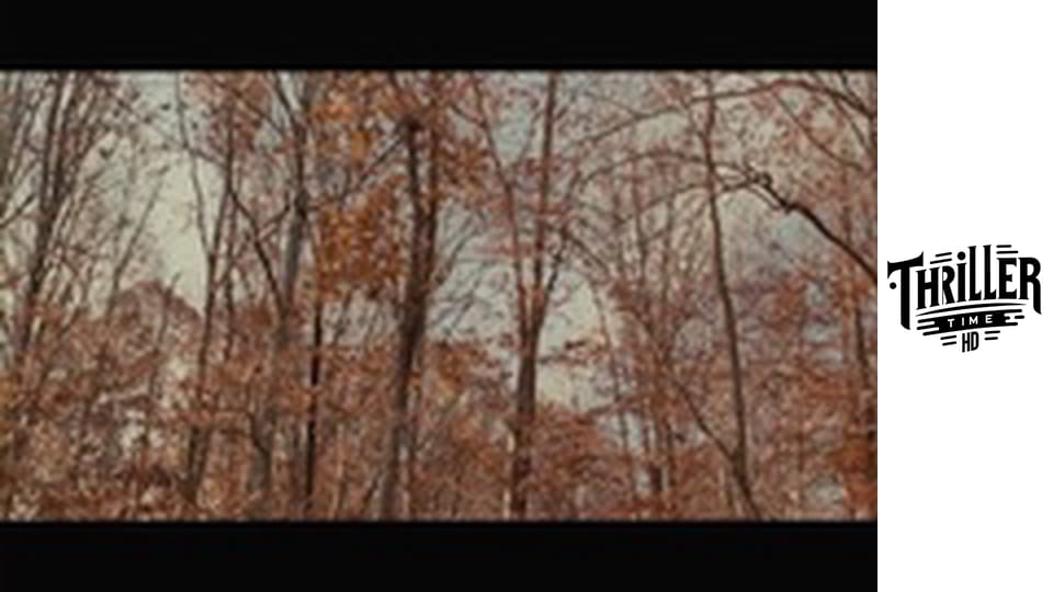 Cabin Fever 2: Spring Fever