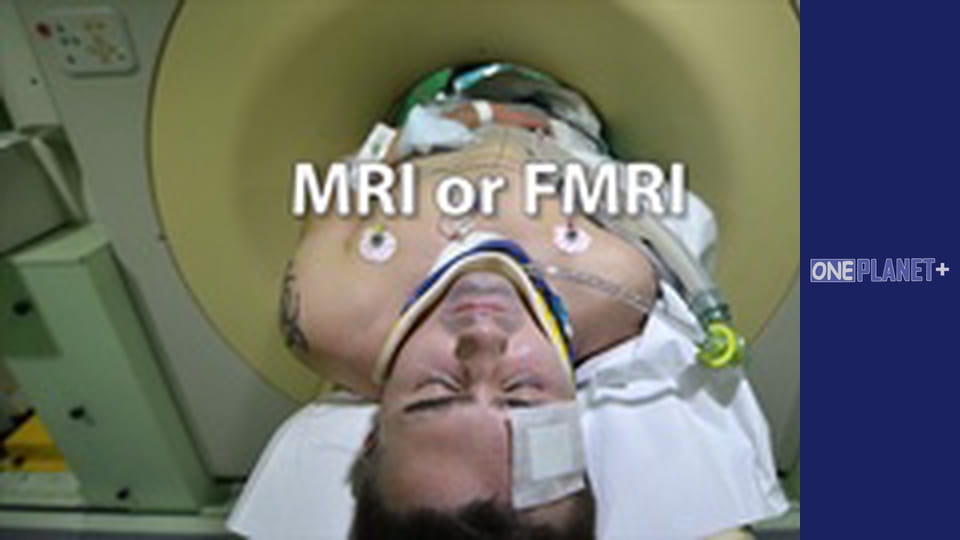 Mind Works, Season 1, Episode 10