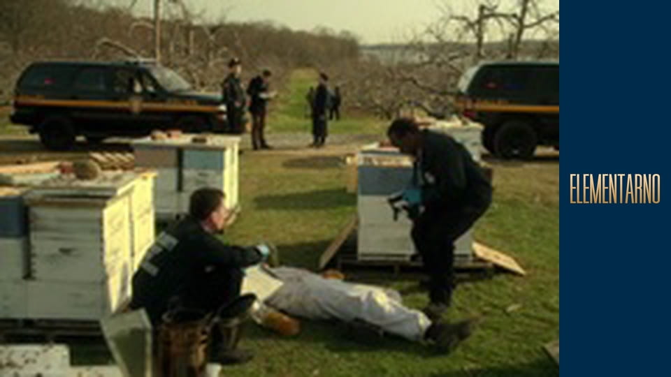 Элементарно Сезон 3 Эпизод 23