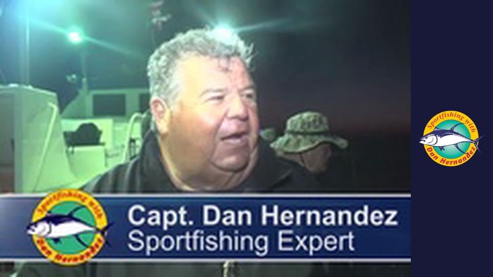 Freelance - Twilight