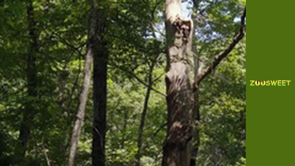 Survival, Season 1, Episode 22