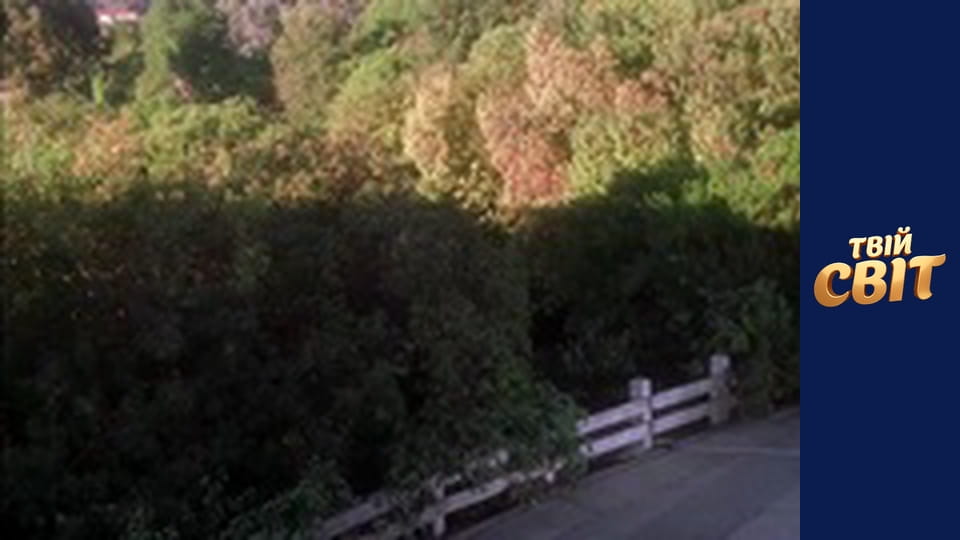 NCIS Сезон 3 Эпизод 5