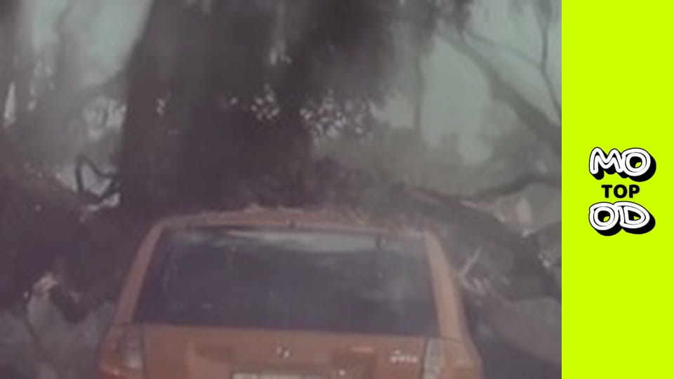 TopMood Сезон 2 Епізод 112