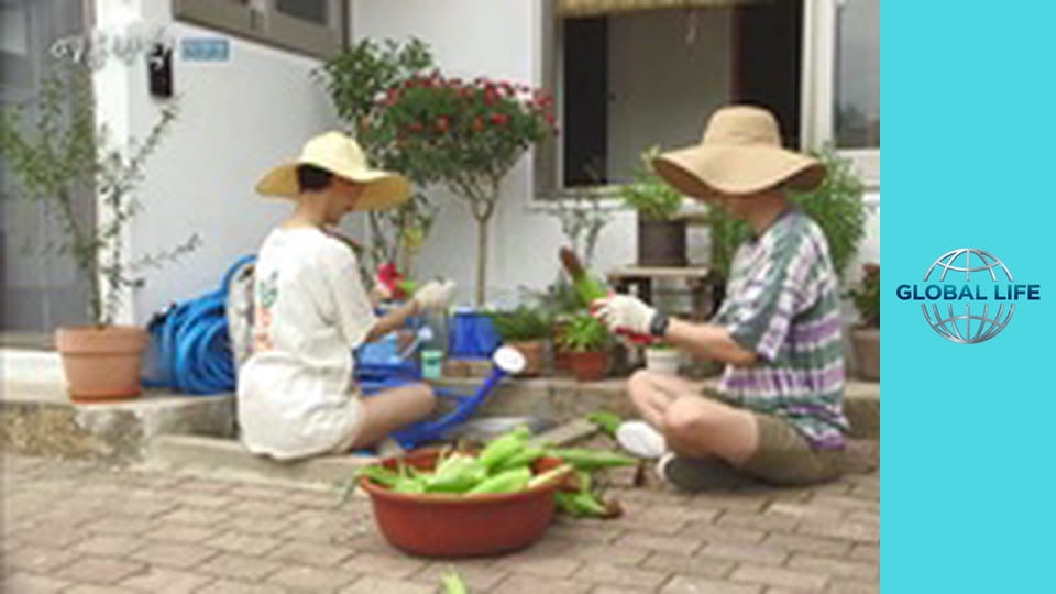 Літня відпустка Сезон 1 Епізод 11