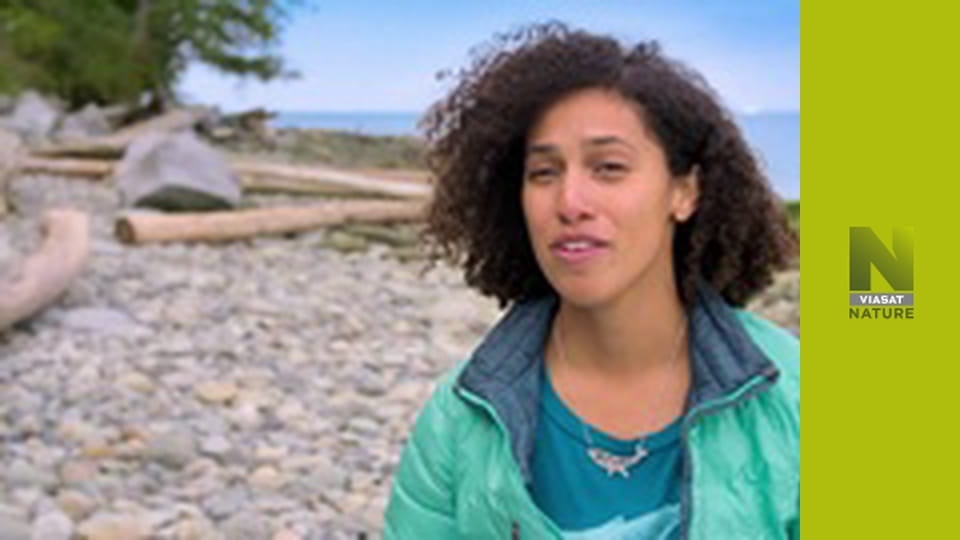 Тихий S1E3 - Узбережжя