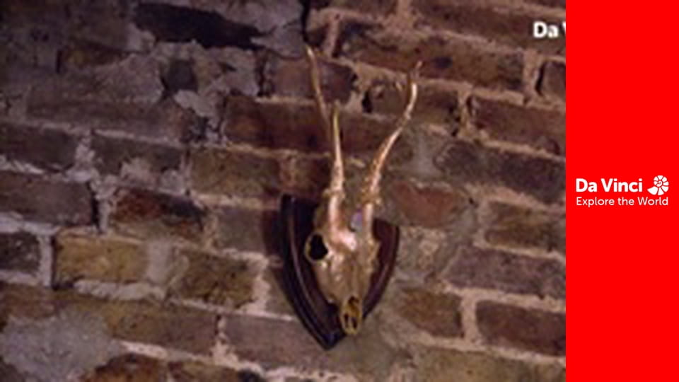 Бунтівні тварини - Мешканці сиру