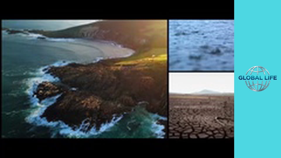 Декарбонізація