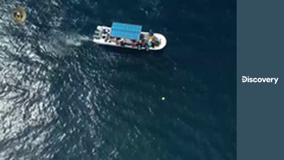 Неизвестная экспедиция S8E14