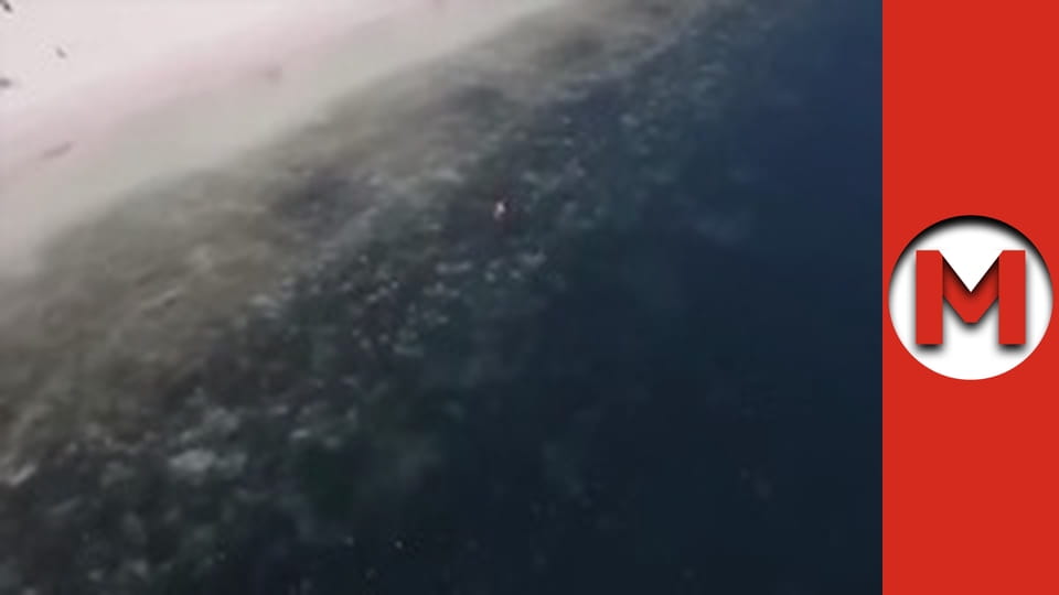 "Макс ТОП" сезон 1 серия 32