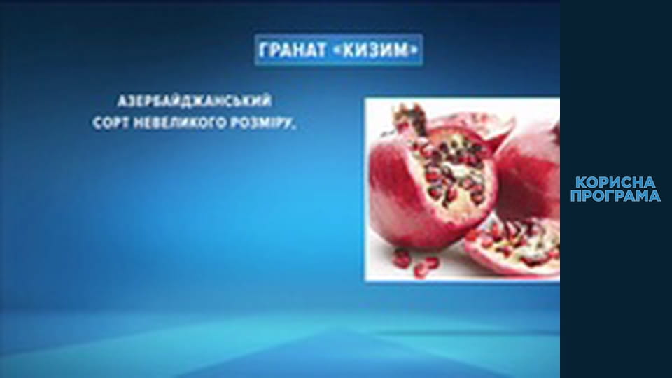 Helpfull program, Season 3, Episode 86