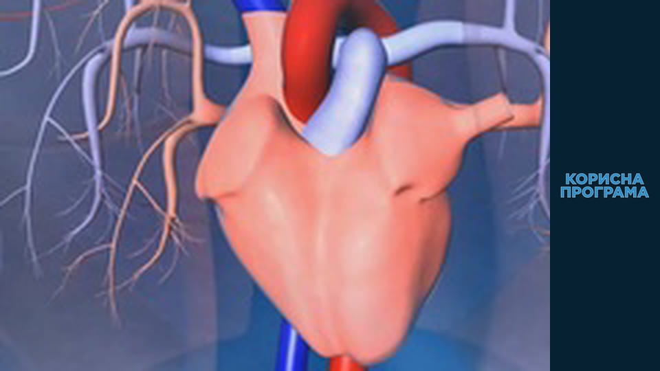 Корисна програма, Сезон 3, Випуск 86