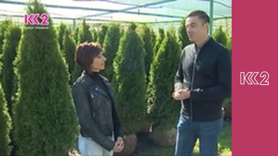 Удачний проект S3E10