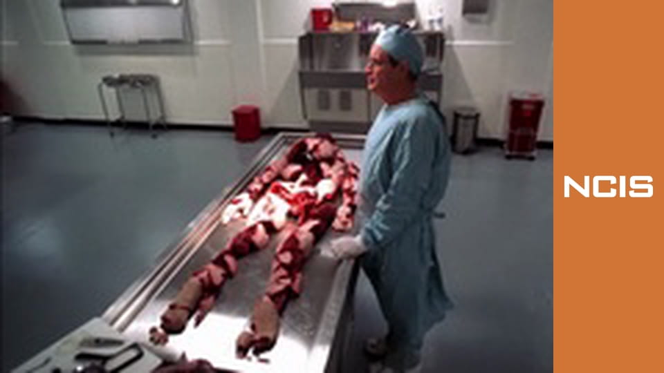 NCIS Season 2 Episode 13