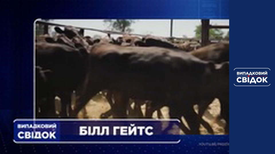 Випадковий свідок, Випуск 251