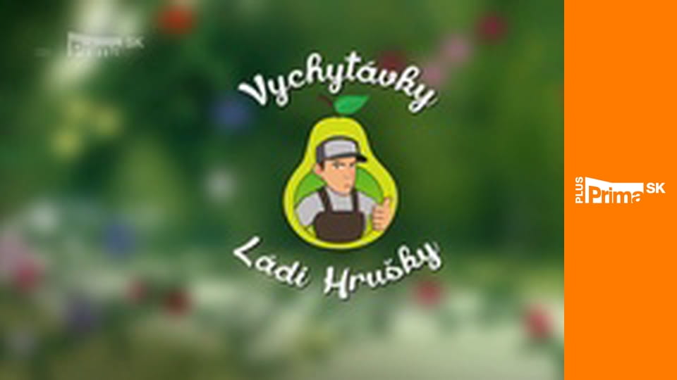 Vychytávky Láďu Hrušku