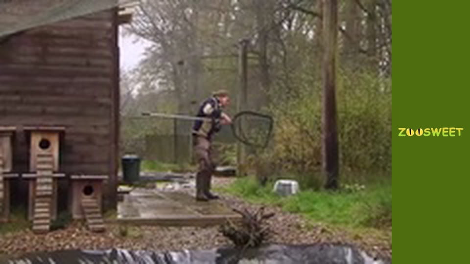 Survival, Season 1, Episode 24