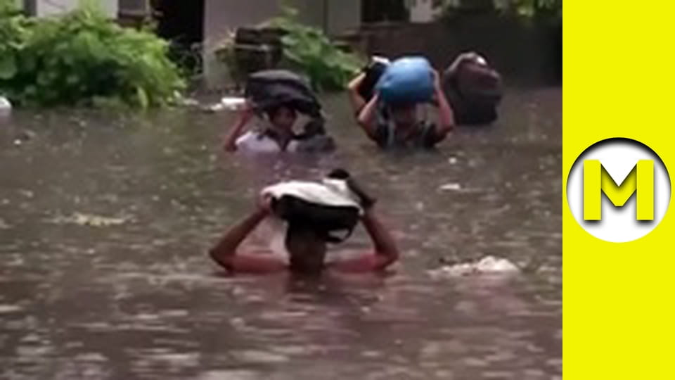 Max TV - сезон 6 - серія 6