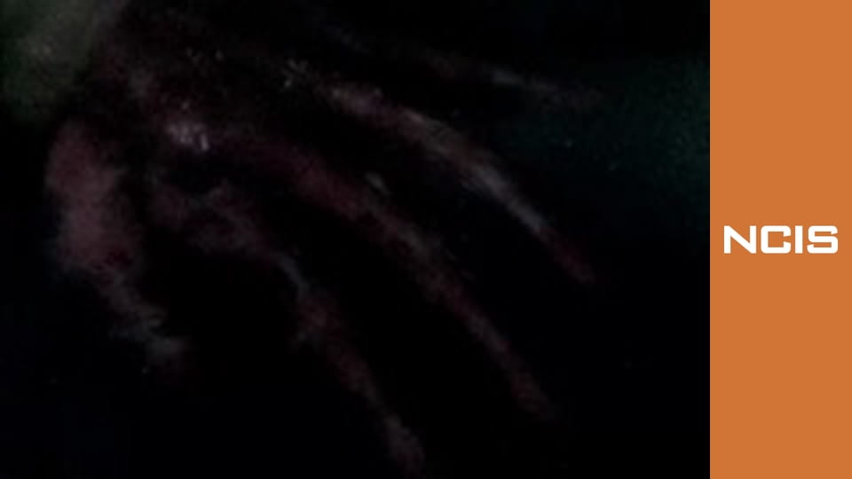 NCIS Сезон 2 Эпизод 11