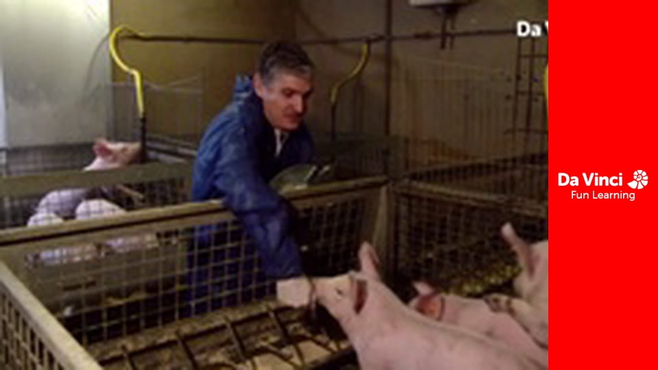 Futuris - From Peelings to Pork