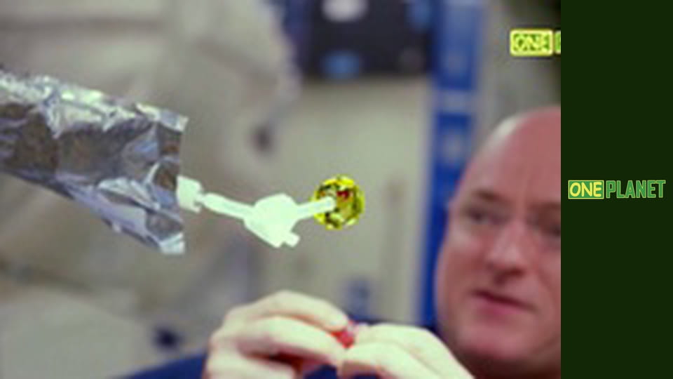 Путешествия по городам с историей, 13 эп. Манила. Испанский бастион на востоке.