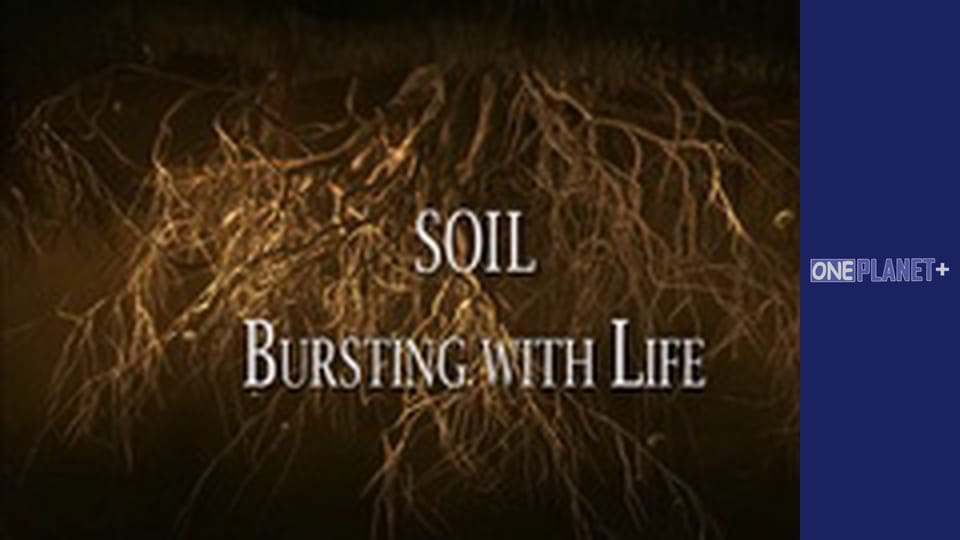 В поисках знаний. - cерия 16