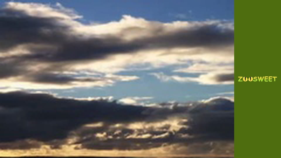 Super flair - episode 6