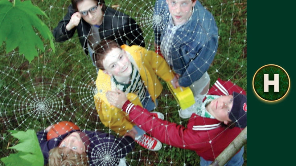 Ловець снів