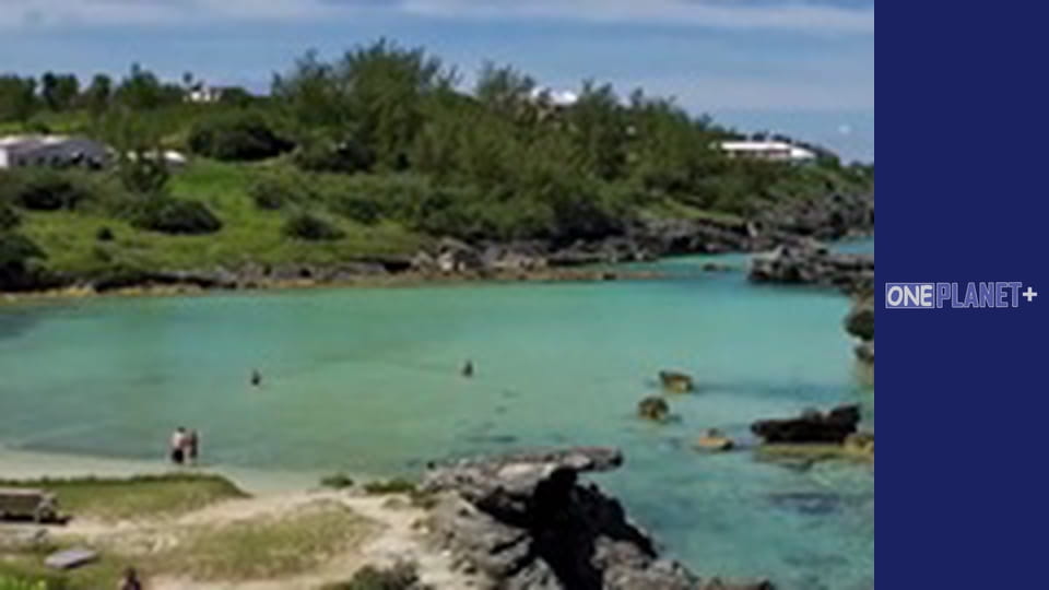 Стоит побывать. - cерия 5