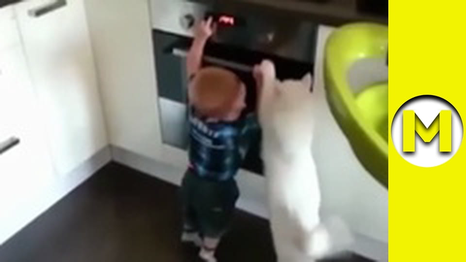 Max TV - сезон 1 - серія 122