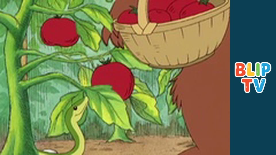 Little Bear Meets No Feet