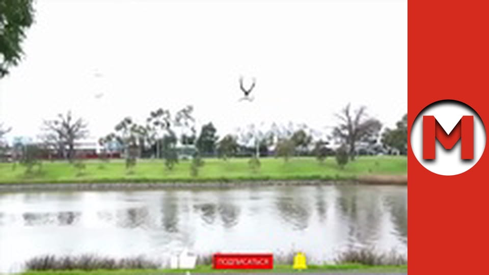 Макс ТВ- сезон 1 - серія 59