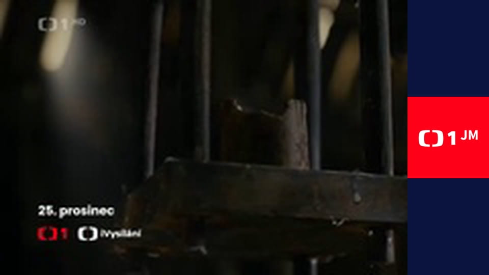 Zpátky do přírody - Každý svou cestou