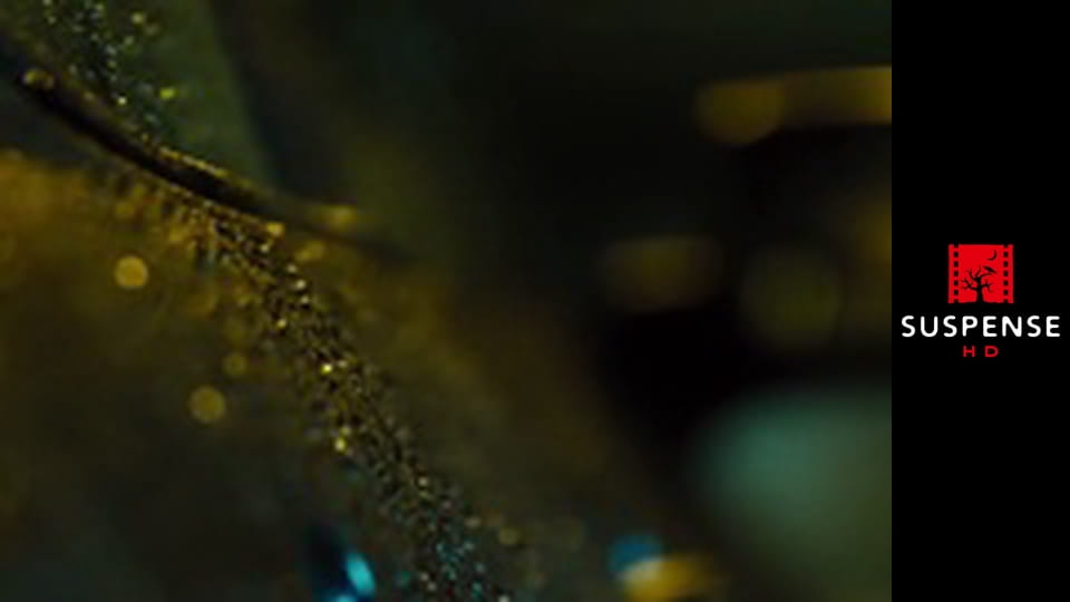 Before I Go to Sleep