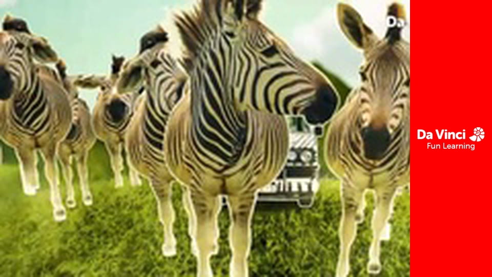 Сіяя - Рушайте з нами - Мандрівні равлики